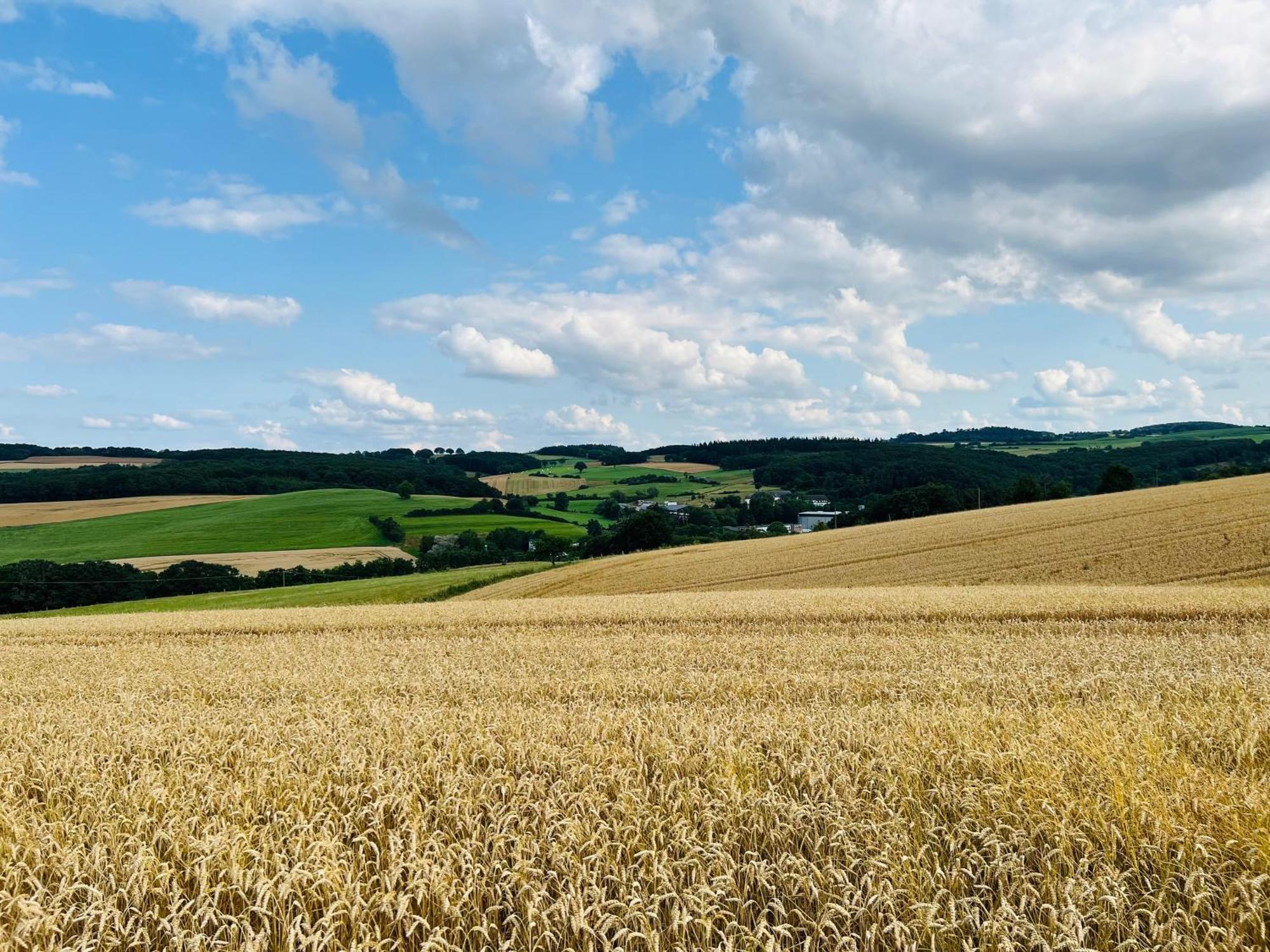 Ferienwohnung In Der Schoenen Eifel! Mechernich Kültér fotó