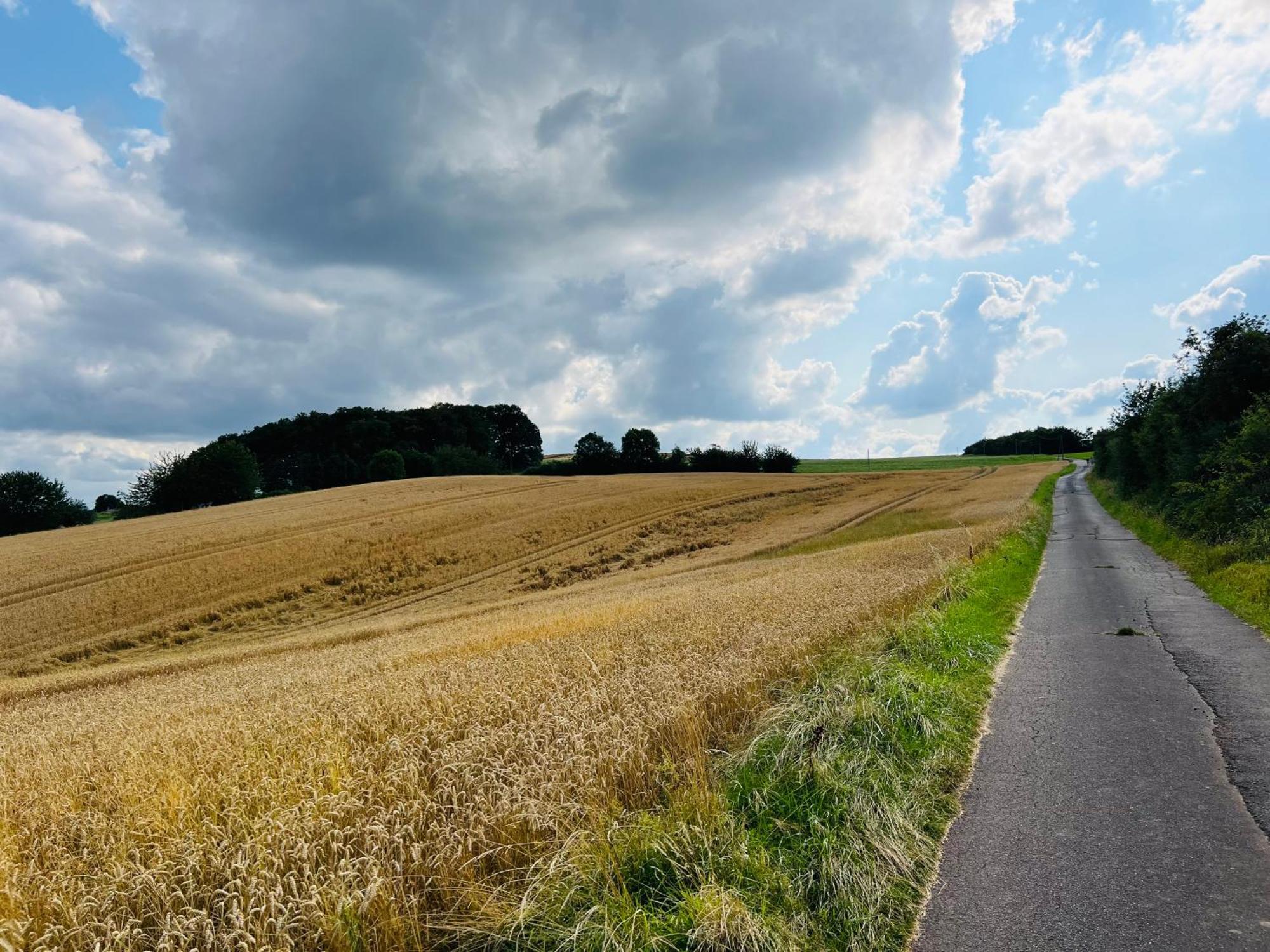 Ferienwohnung In Der Schoenen Eifel! Mechernich Kültér fotó